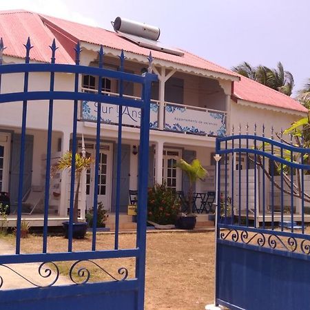 Sur L'Anse Villa Terre-De-Haut Exterior photo